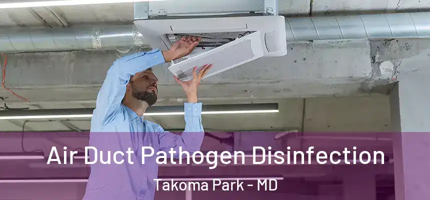  Air Duct Pathogen Disinfection Takoma Park - MD