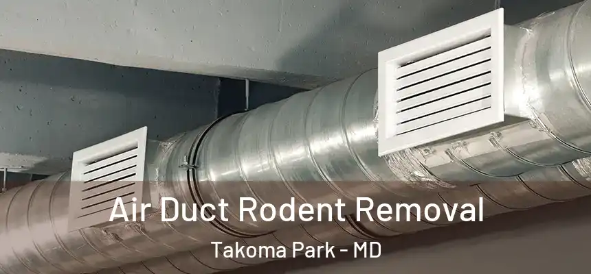 Air Duct Rodent Removal Takoma Park - MD