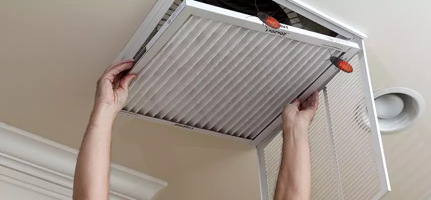 Preventive Cockroach-Proofing for Ducts in Takoma Park