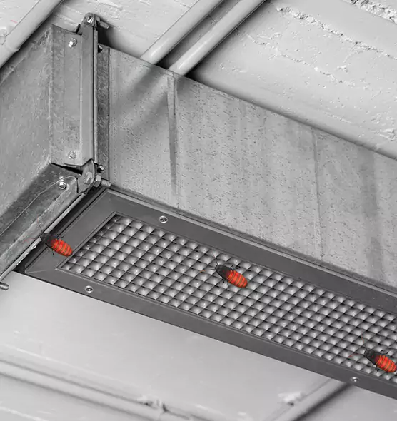 About Air Duct Cockroach Removal in Takoma Park, MD