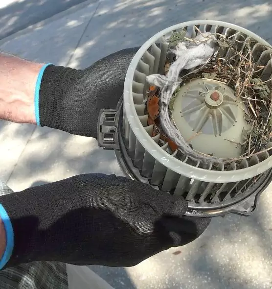 About Air Duct Mice Removal in Takoma Park, MD