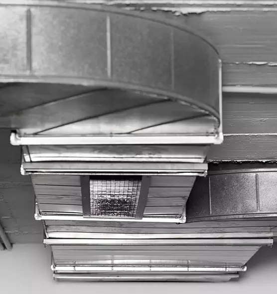 Professional Air Duct Pest Removal in Takoma Park, MD