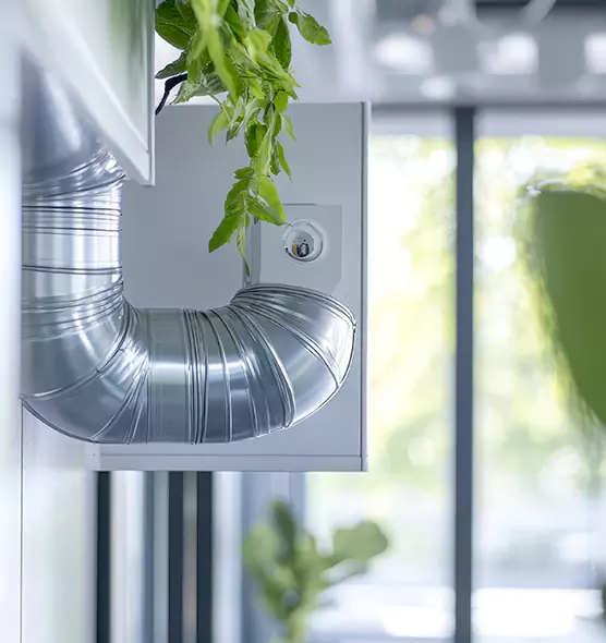 Professional Eco-Friendly Duct Cleaning Services in Takoma Park, MD