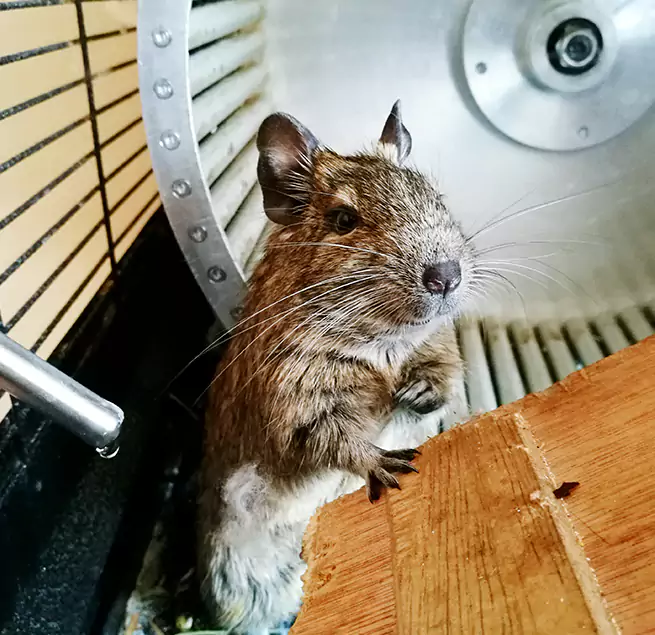 Why Homeowners & Businesses Trust Us Takoma Park, MD?