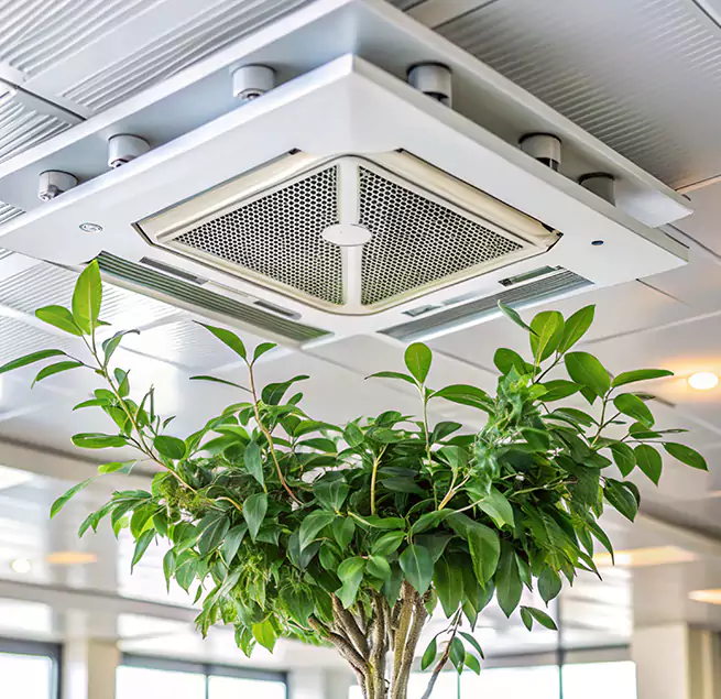 Why Homeowners & Businesses Trust Us in Takoma Park, MD?