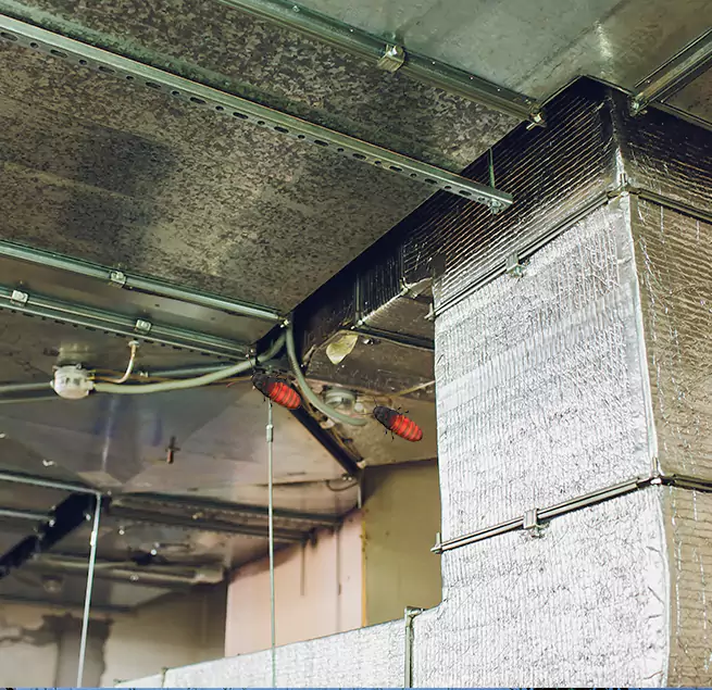 Why Homeowners & Businesses Trust Us Takoma Park, MD?