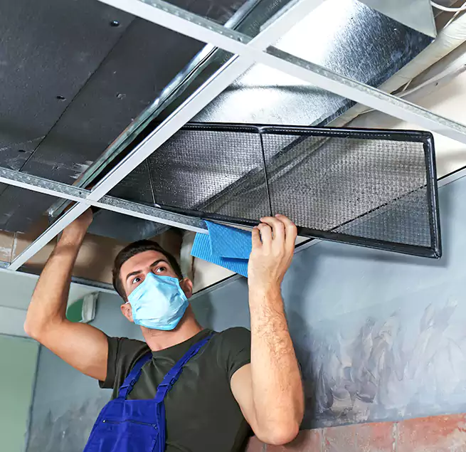 Why Homeowners Businesses Trust Us in Takoma Park, MD