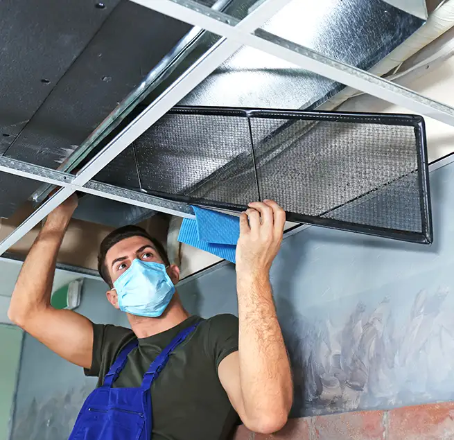 Why Homeowners & Businesses Trust Us in Takoma Park, MD?